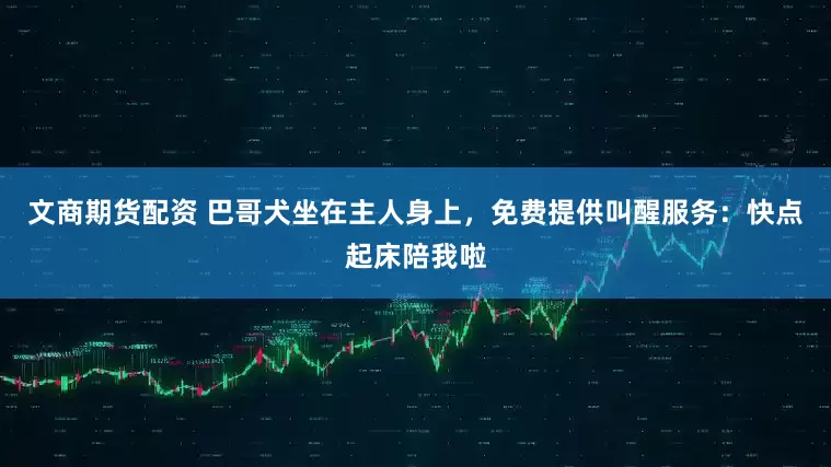 文商期货配资 巴哥犬坐在主人身上，免费提供叫醒服务：快点起床陪我啦