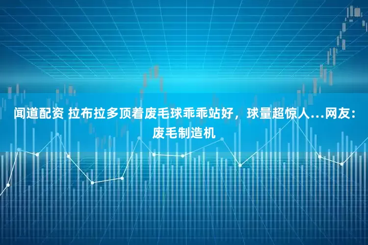 闻道配资 拉布拉多顶着废毛球乖乖站好，球量超惊人…网友：废毛制造机