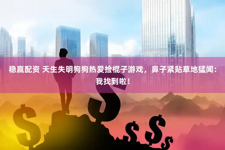 稳赢配资 天生失明狗狗热爱捡棍子游戏，鼻子紧贴草地猛闻：我找到啦！
