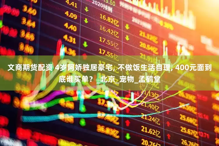 文商期货配资 4岁阿娇独居豪宅, 不做饭生活自理, 400元面到底谁买单？_北京_宠物_孟鹤堂