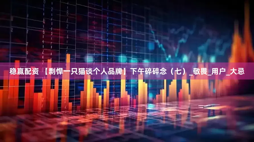 稳赢配资 【剽悍一只猫谈个人品牌】下午碎碎念（七）_敬畏_用户_大忌
